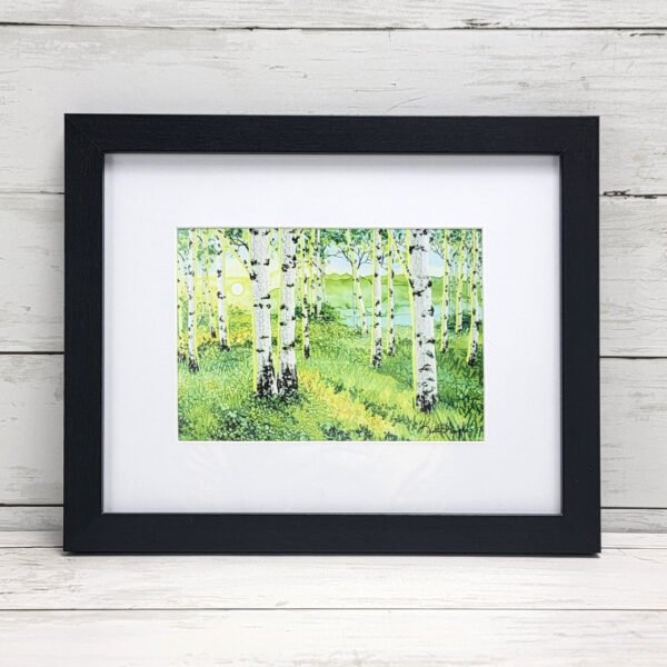 "Morning Aspens" Framed Print