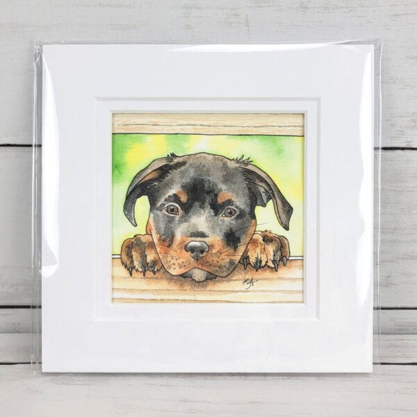 "Rottweiler Puppy" Original Watercolor Painting