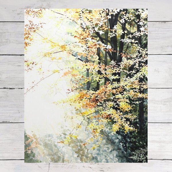 "Fall Sunrays" Art Print