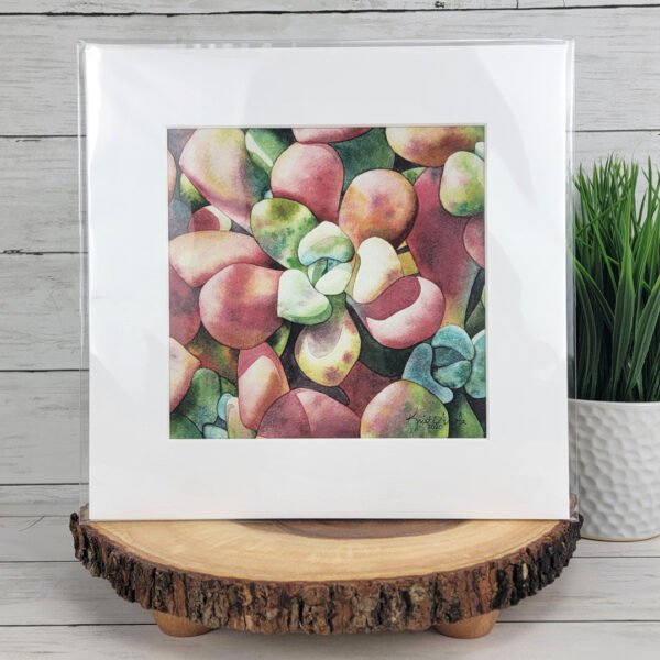 "Crimson & Jade" Succulent Print