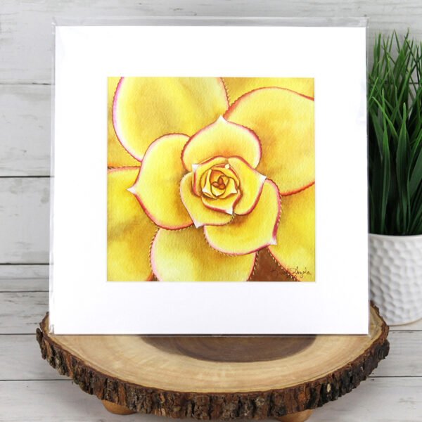 "Golden Hues" Succulent Print