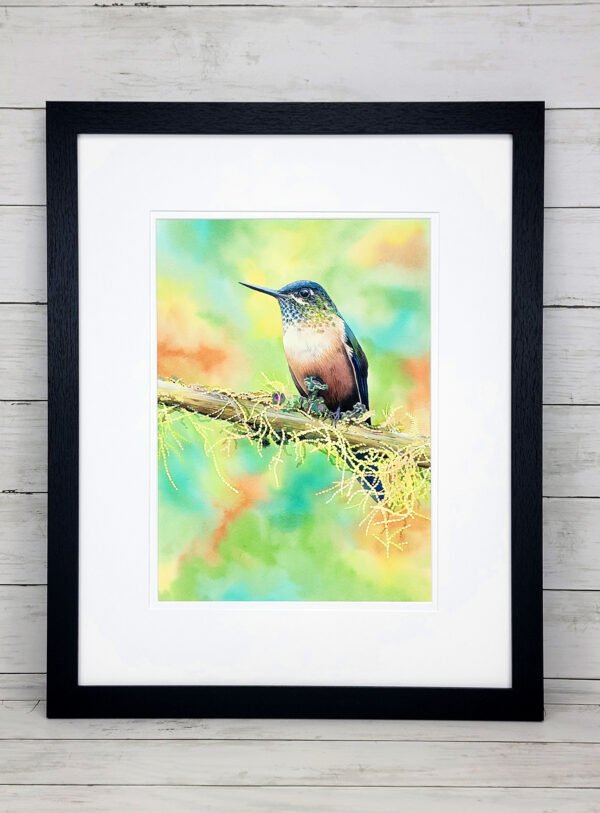 "The Mossy Perch" Hummingbird Watercolor Painting