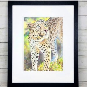 "She Watches" Leopard Watercolor Painting