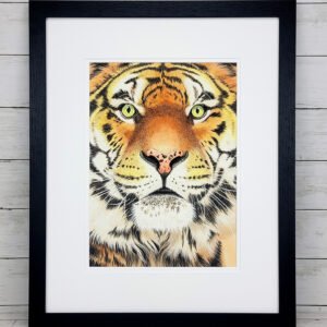 "Watchful Predator" Tiger Watercolor Painting