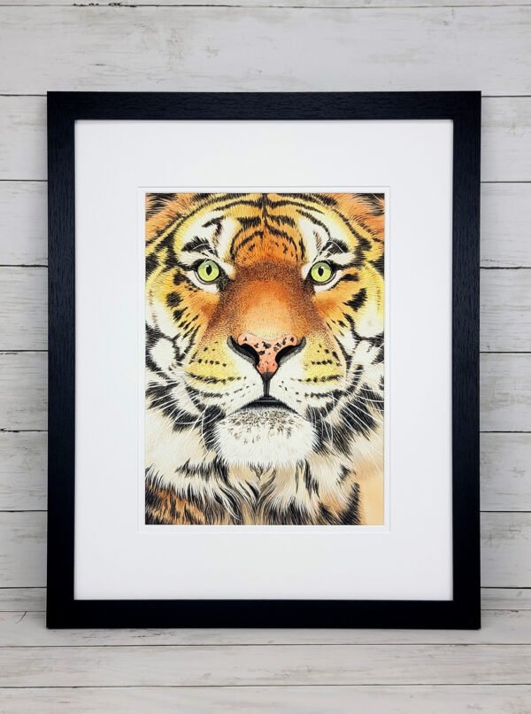 "Watchful Predator" Tiger Watercolor Painting