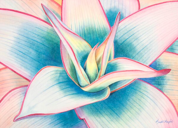 Blush Of The Desert – 10×14 Sm 4web