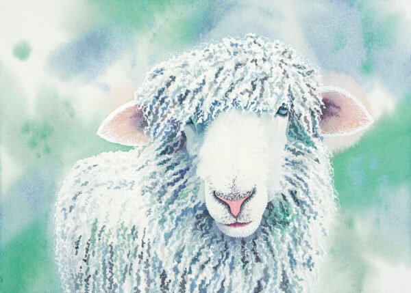 Too Wool For School Sm 4web