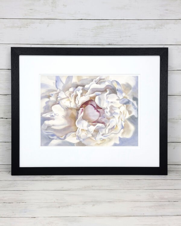 Framed Rain Kissed Peony