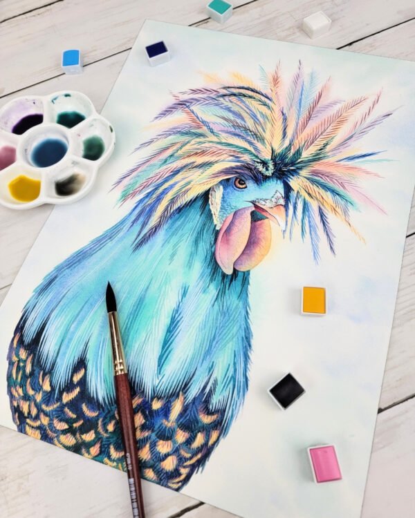 Rooster
