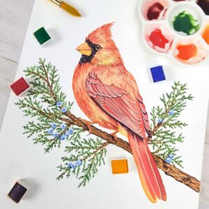 "Red Cardinal on Evergreen" Original 9 x 12 Watercolor Painting