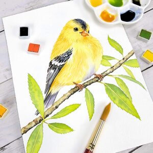"Yellow Finch" Original 8 x 10 Watercolor Painting