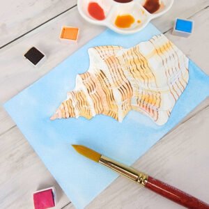 "Conch Shell" Original 5 x 7 Watercolor Painting
